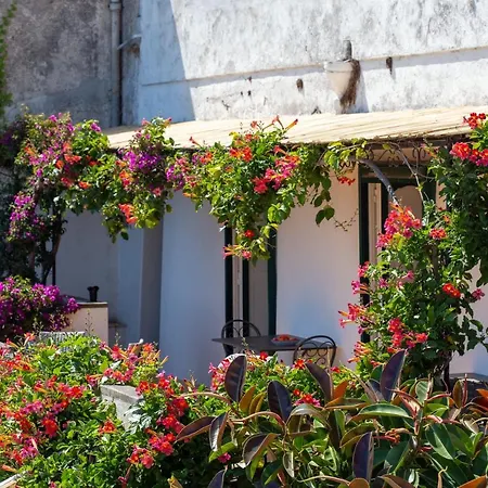 Il Pettirosso In * Positano
