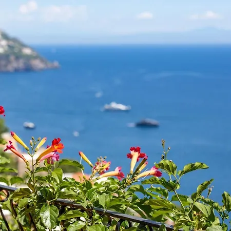 Il Pettirosso In * Positano