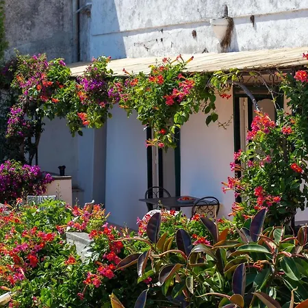 Il Pettirosso In Positano