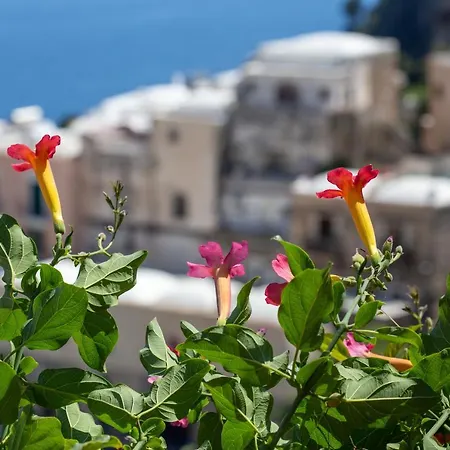 Nyaraló Il Pettirosso In