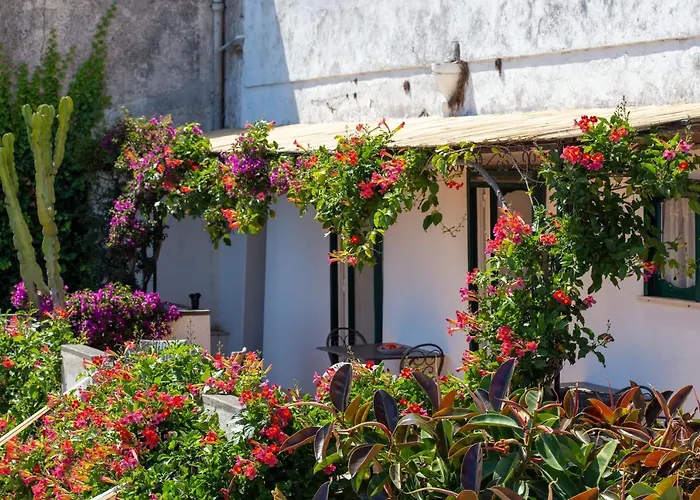 Il Pettirosso In * Positano
