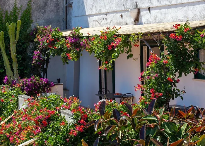 Il Pettirosso In Positano