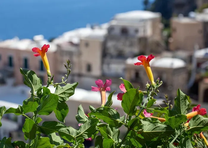 Casa vacanze Il Pettirosso In